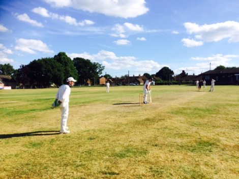 tmgs-southwater-2017-delkeeping