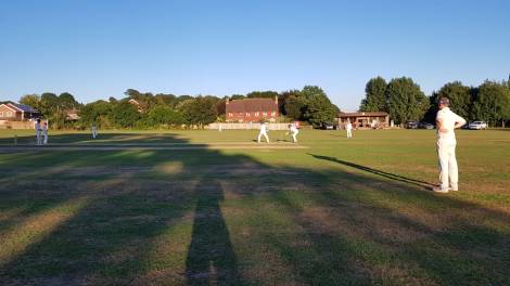 tmgs-wg-gracefully-2