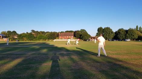 tmgs-wg-gracefully-3