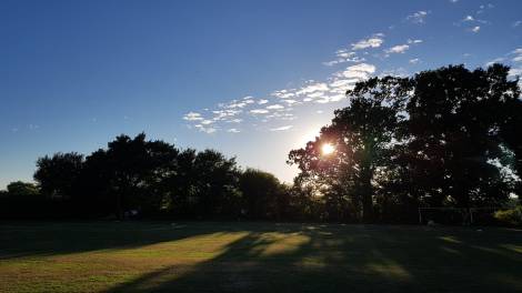 tmgs-wg-gracefully-4