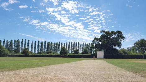 tmgs-wg-gracefully-flat-wicket